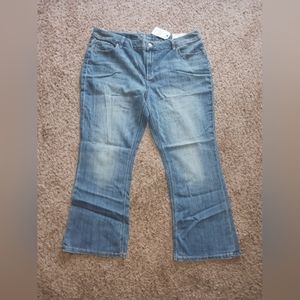 NWT Maurices Bootcut Plus Jeans Size 22 Short